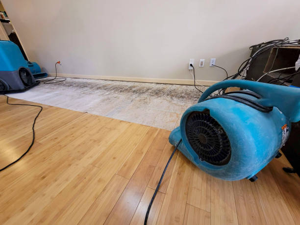 Professional Water Damage Repair technician working in Fruitvale, TX